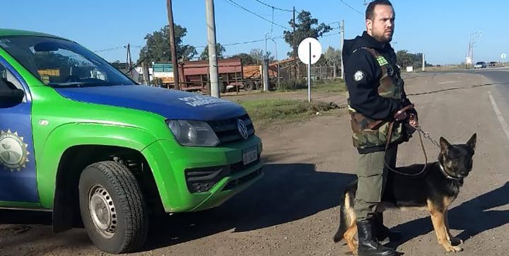 Intensos controles de caza y pesca en el norte y sur de la provincia