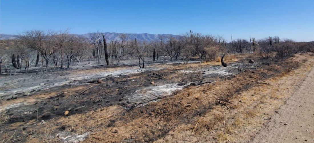 Incendios: Nación homologó la declaración de Córdoba por Desastre Agropecuario