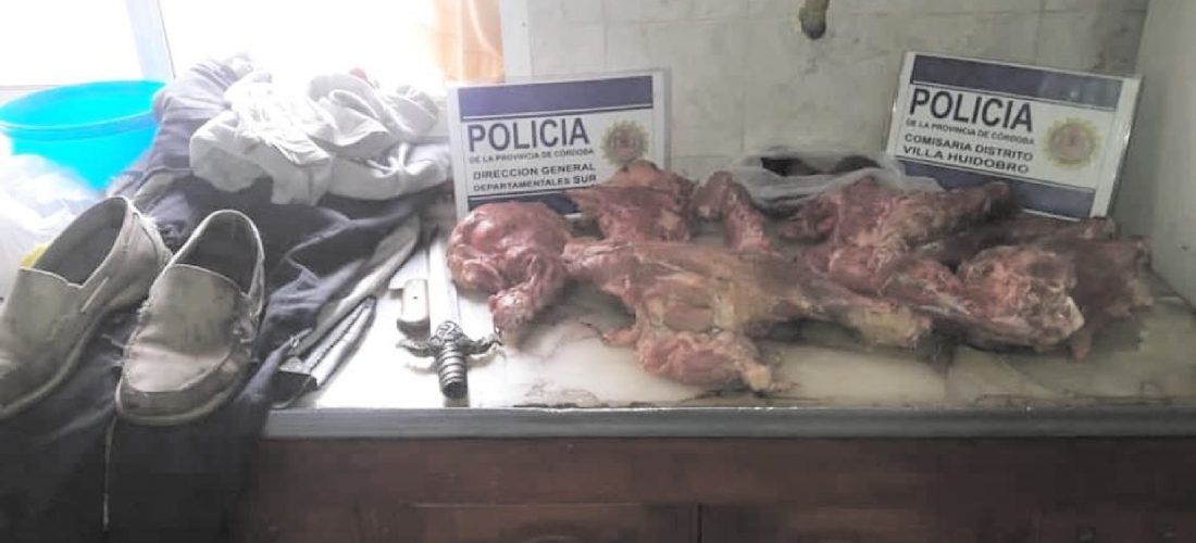 V. Huidobro: secuestran carne porcina, cuchillos y ropa tras allanar una casa