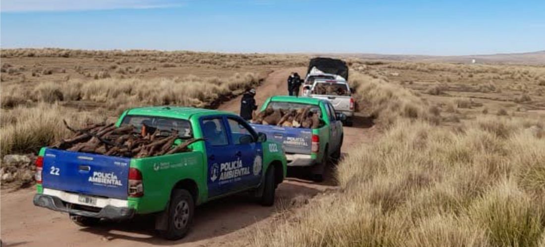 Policía Ambiental donó más de 36.000 kilos de leña a instituciones de Córdoba