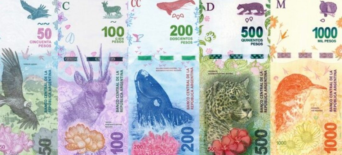 Salen animales, entran próceres: en 6 meses vuelve a cambiar la familia de billetes