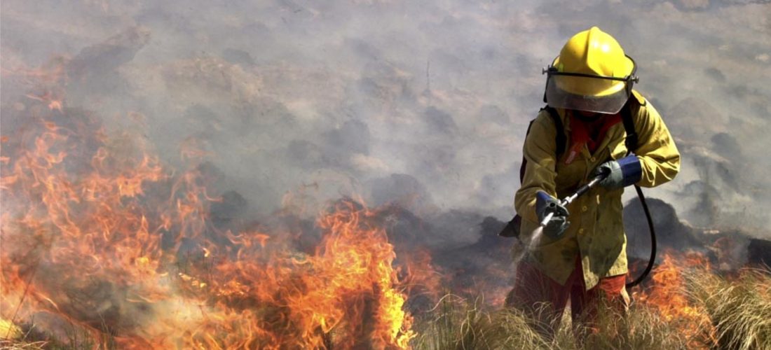 Trece bomberos cordobeses viajan a combatir el fuego en la Amazonia