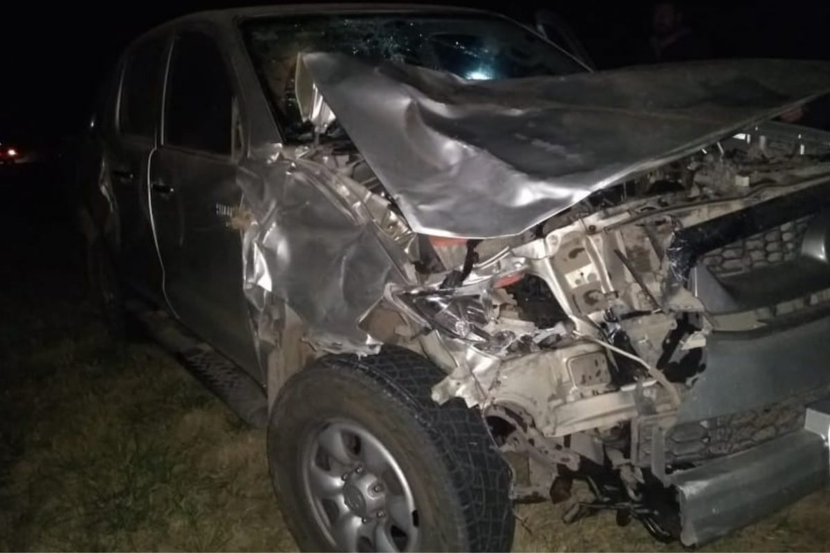 Accidente en ruta 27: una camioneta embistió a un equino cerca de Jovita