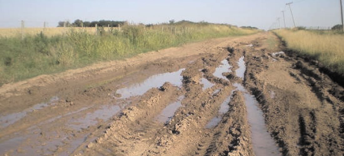 Sur provincial: avanzan las gestiones para las mejoras de caminos rurales