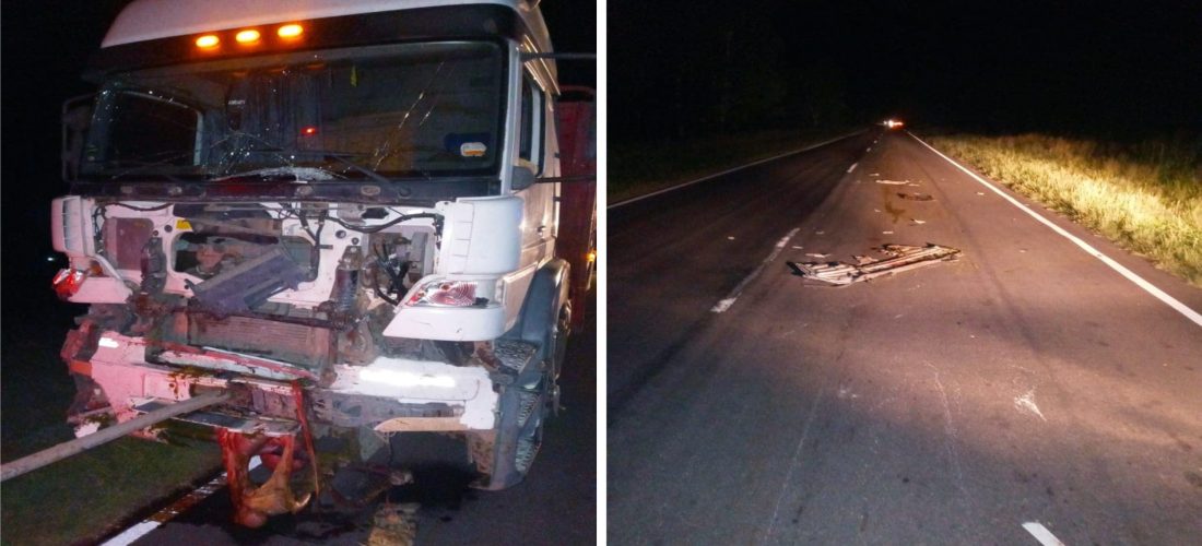 Casi una tragedia en Ruta 27: camión impactó con tres equinos cerca de Mattaldi