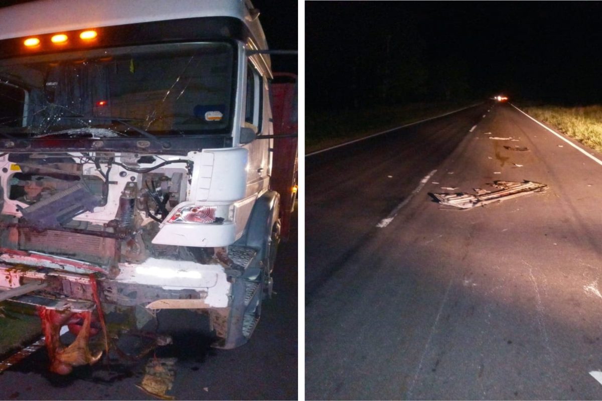 Casi una tragedia en Ruta 27: camión impactó con tres equinos cerca de Mattaldi