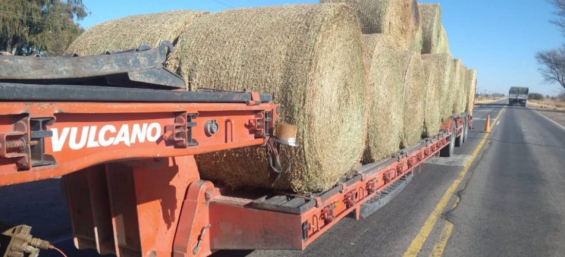 Transportaba rollos sin medidas de seguridad ni la documentación de carga