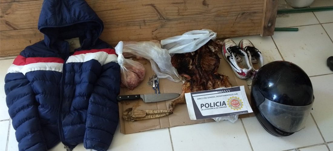 Del Campillo: una pareja fue detenida por el robo de seis lechones en una quinta
