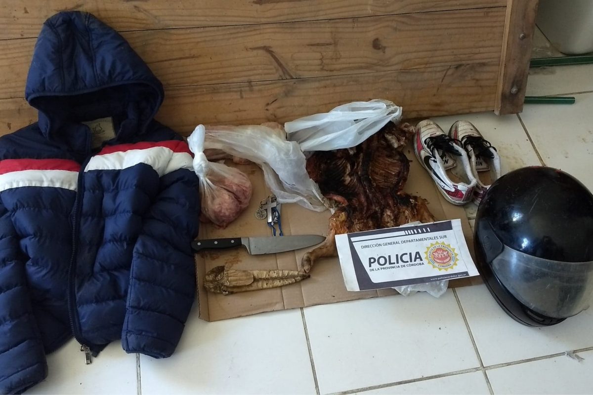 Del Campillo: una pareja fue detenida por el robo de seis lechones en una quinta