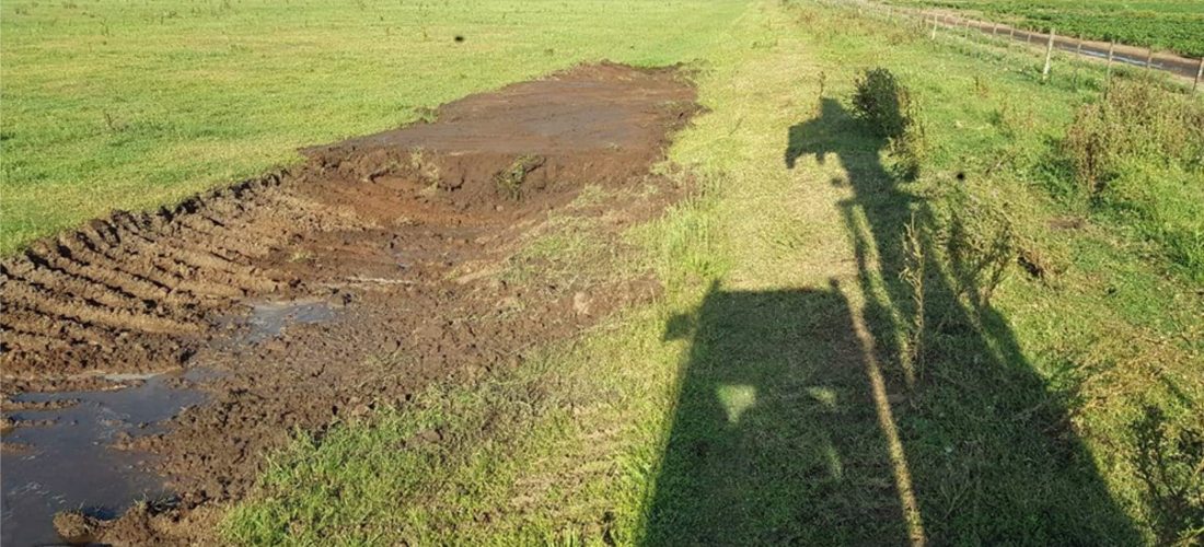 Provincia desarticuló canales clandestinos entre General Levalle y Laboulaye