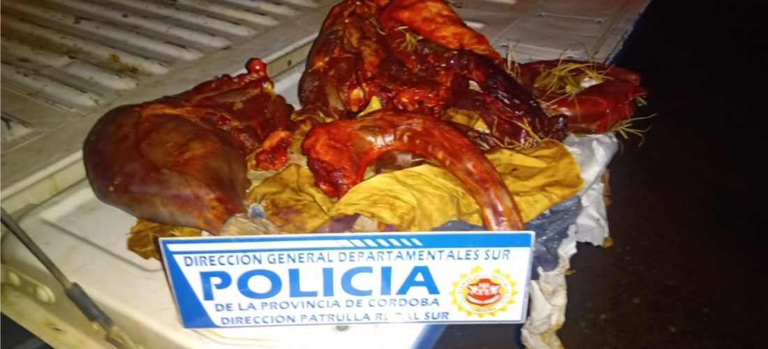 Vecinos de Del Campillo transportaban carne de avestruz en el baúl del auto