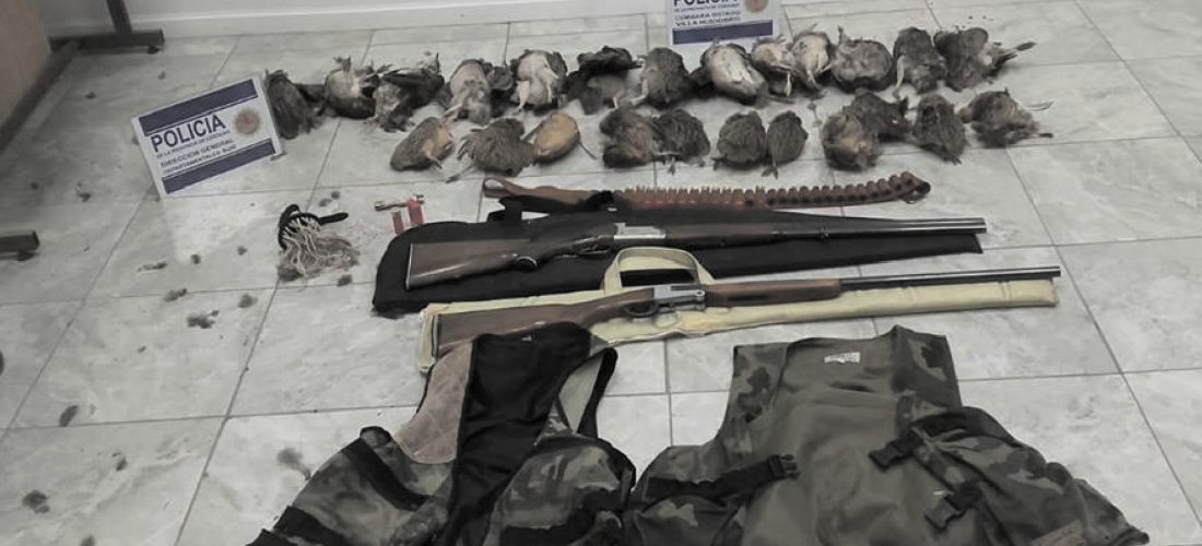 V. Huidobro: secuestran armas y martinetas a cazadores huinquenses