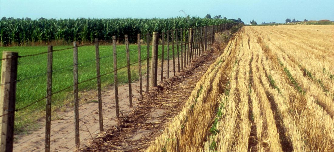 Censo Nacional Agropecuario 2018: relevamiento en Córdoba