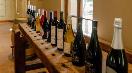Los sabores del vino cordobés: 23 bodegas para disfrutar en toda la provincia