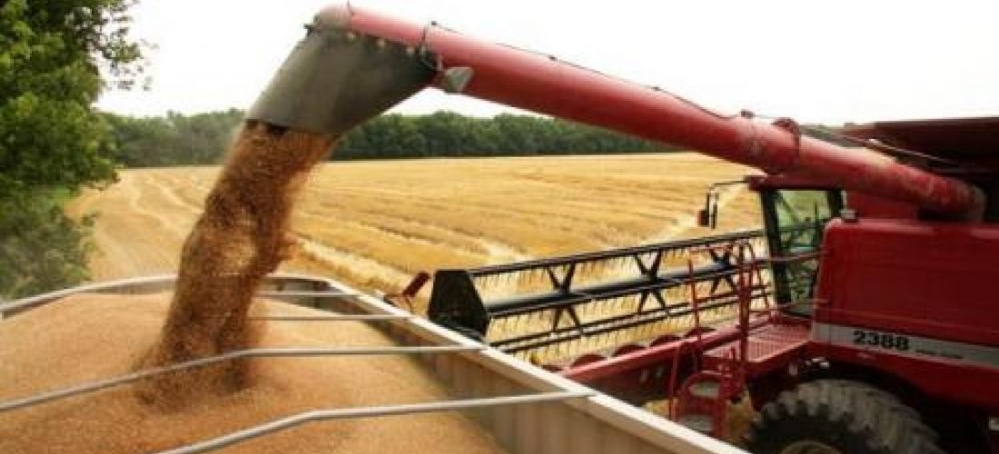 Productores agropecuarios: sigue vigente para circular la declaración jurada de Córdoba