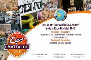 expomatt