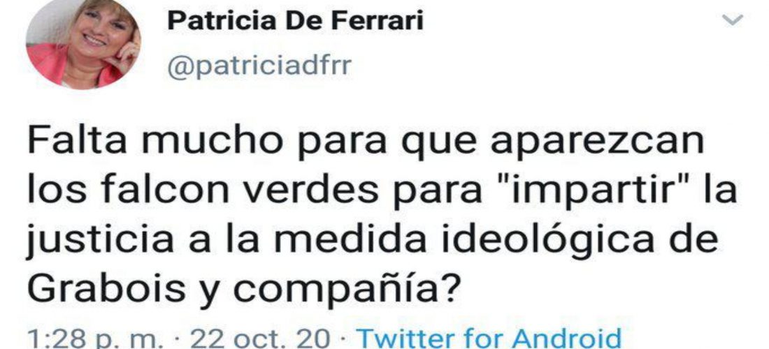 Contundente repudio del arco político y en redes sociales por tuit de Patricia De Ferrari