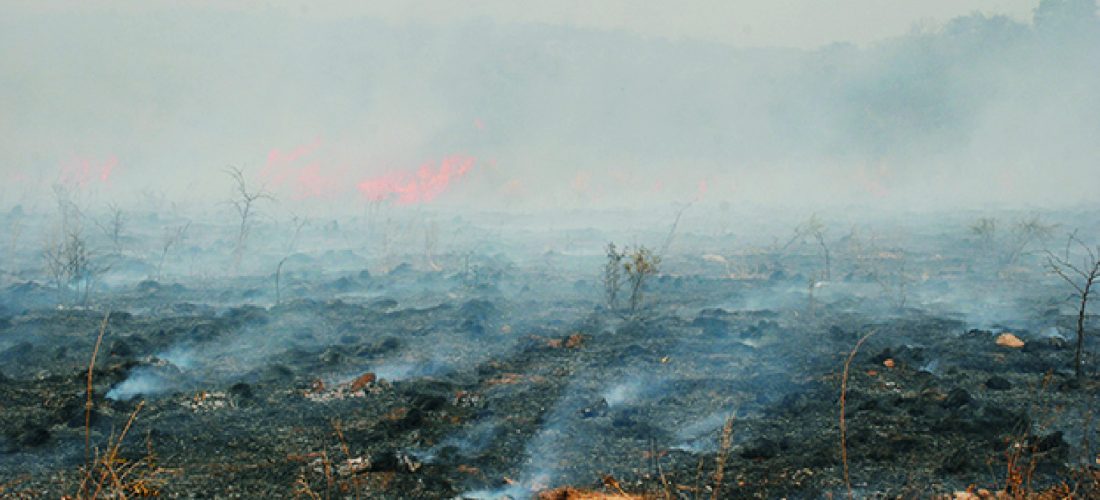 Peligro de incendios forestales: declaran alerta extrema en toda la provincia
