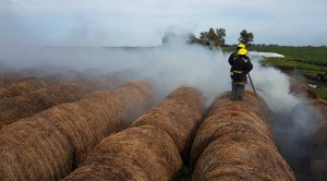 incendiorollos