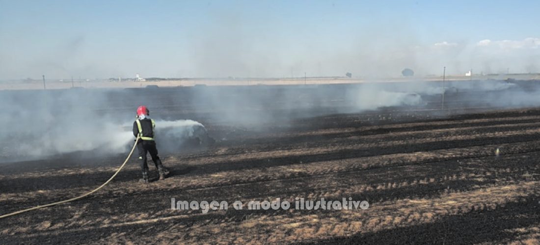 Policiales: incendio en un campo cerca de Serrano y accidente en Laboulaye