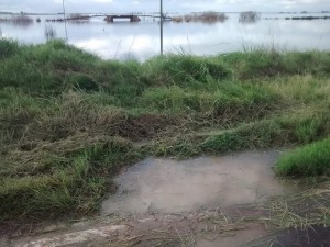 inundserranocamp