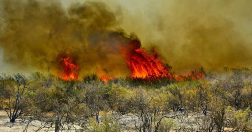 Un joven de Jovita será condenado por provocar un incendio en zona rural