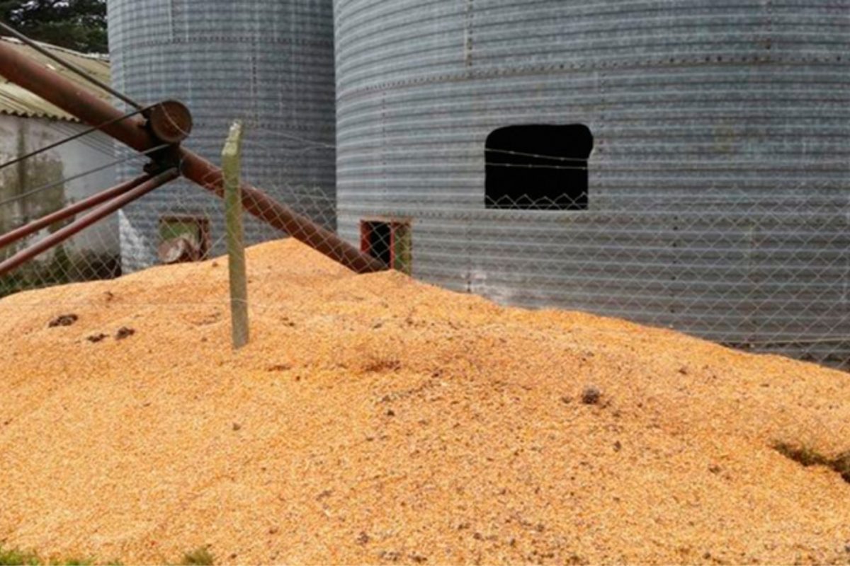 La Cesira: dos trabajadores rurales murieron por el derrumbe de un silo