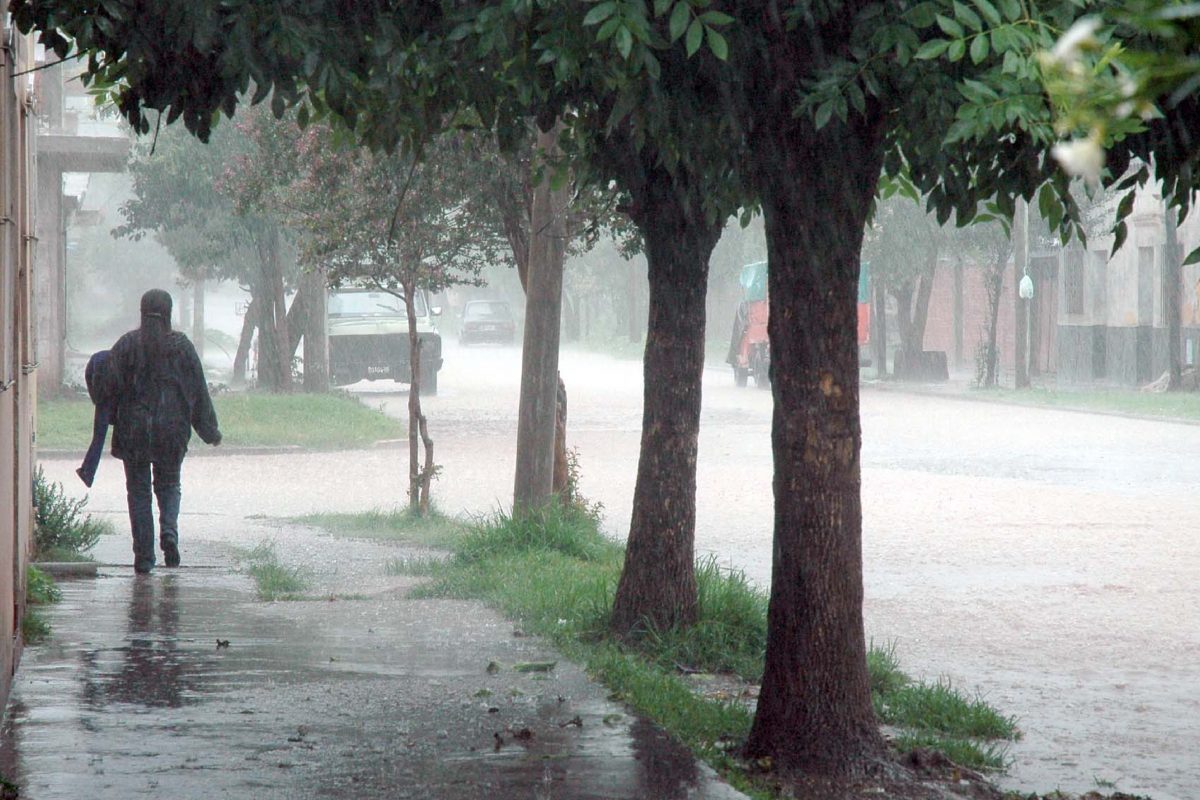 Registro de precipitaciones en localidades del sur provincial