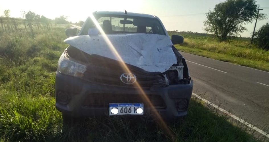 Camioneta embistió a un equino sobre Ruta 27, en cercanías de Mattaldi