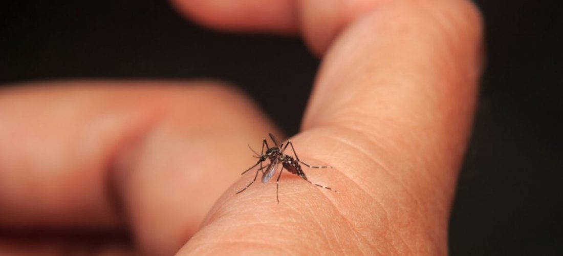 Sur cordobés: confirman otro caso de dengue; fue una mujer que viajó a Paraguay