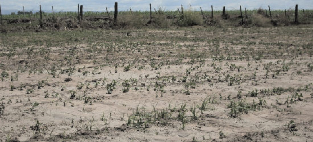 Sequía: se reúne la Comisión Provincial de Emergencia Agropecuaria