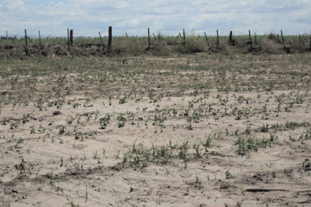 Sequía: se reúne la Comisión Provincial de Emergencia Agropecuaria