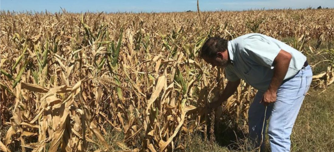 El Gobierno prorrogó la emergencia agropecuaria en Córdoba por sequías y heladas