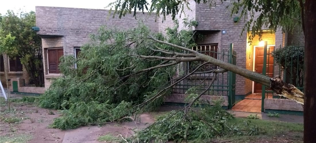 Fuerte temporal de viento, lluvia y granizo azotó a Laboulaye